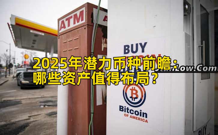 2025年潜力币种前瞻：哪些资产值得布局？插图