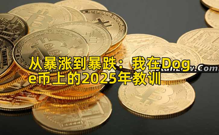 从暴涨到暴跌：我在Doge币上的2025年教训插图