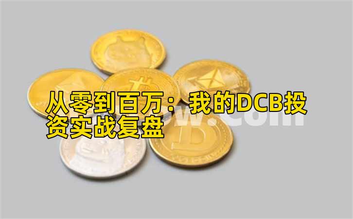 从零到百万：我的DCB投资实战复盘插图