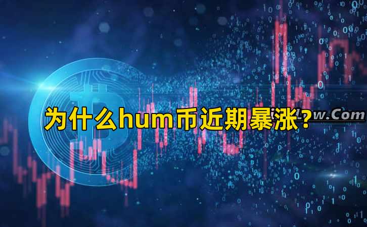 为什么hum币近期暴涨?插图 为什么hum币近期暴涨?插图