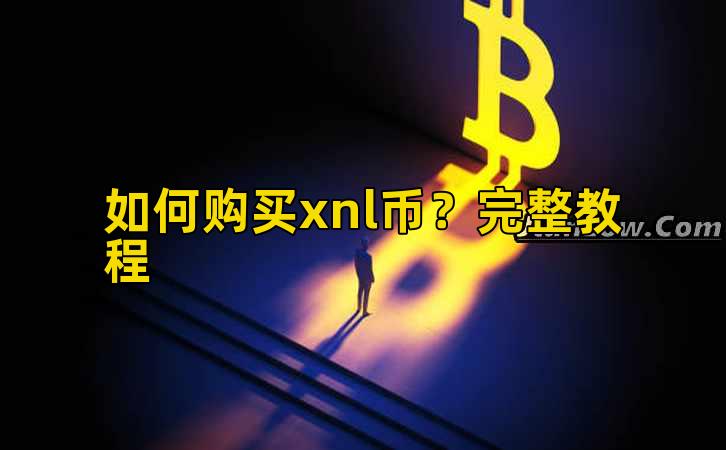 如何购买xnl币？完整教程插图