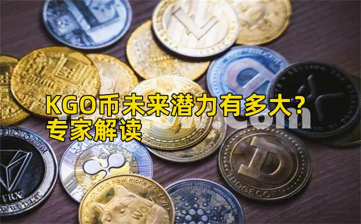 KGO币未来潜力有多大？专家解读插图