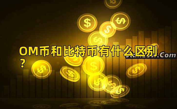 OM币和比特币有什么区别？插图