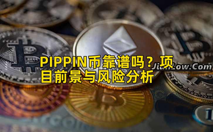 PIPPIN币靠谱吗？项目前景与风险分析插图