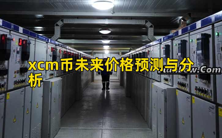 xcm币未来价格预测与分析插图
