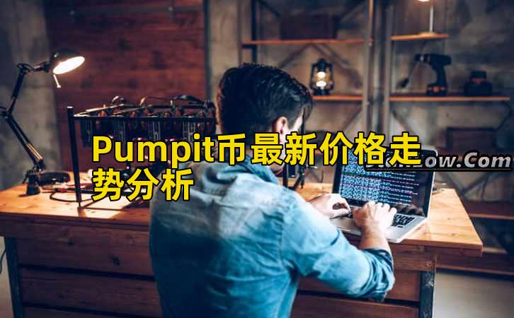 Pumpit币最新价格走势分析插图 Pumpit币最新价格走势分析插图