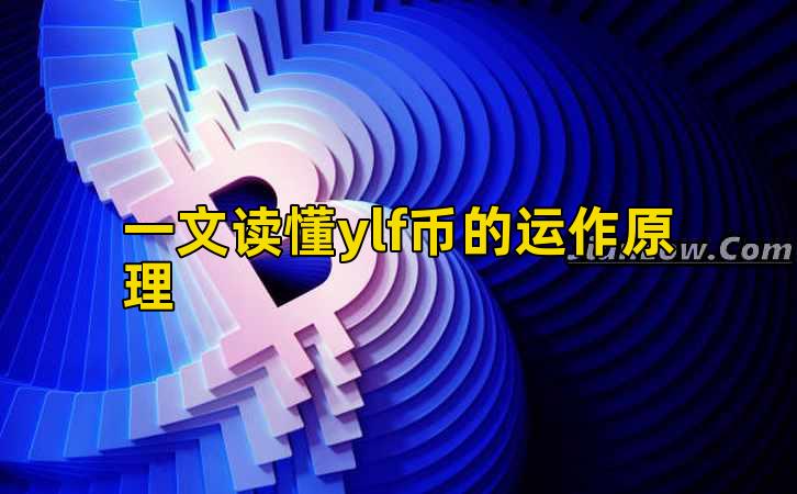 一文读懂ylf币的运作原理插图 一文读懂ylf币的运作原理插图