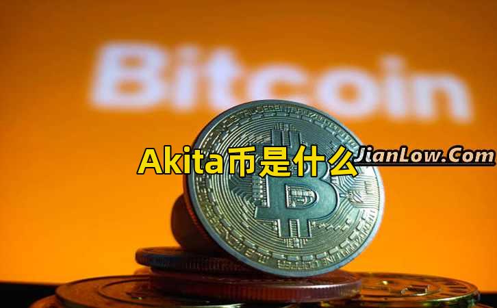 Akita币是什么插图