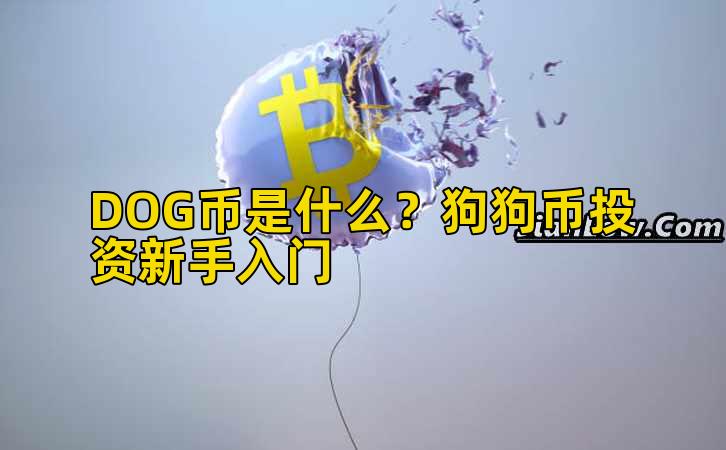 DOG币是什么?狗狗币投资新手入门插图 DOG币是什么?狗狗币投资新手入门插图
