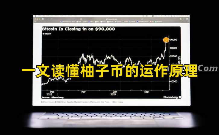 一文读懂柚子币的运作原理插图 一文读懂柚子币的运作原理插图