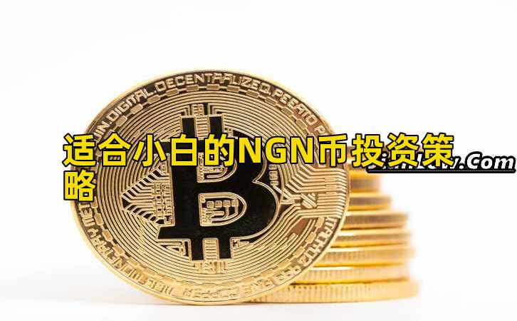 适合小白的NGN币投资策略插图