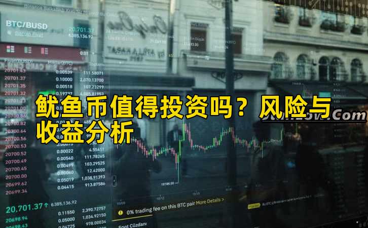 鱿鱼币值得投资吗?风险与收益分析插图 鱿鱼币值得投资吗?风险与收益分析插图
