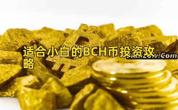 适合小白的BCH币投资攻略插图 适合小白的BCH币投资攻略插图