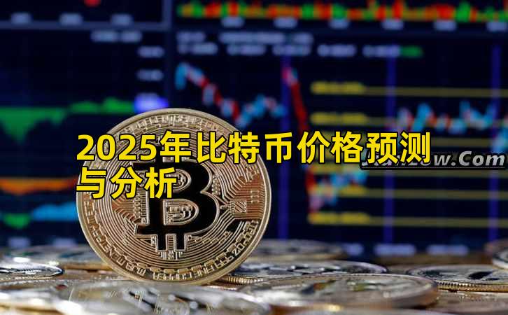 2025年比特币价格预测与分析插图
