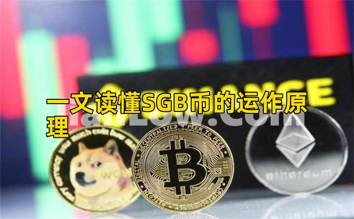 一文读懂SGB币的运作原理插图