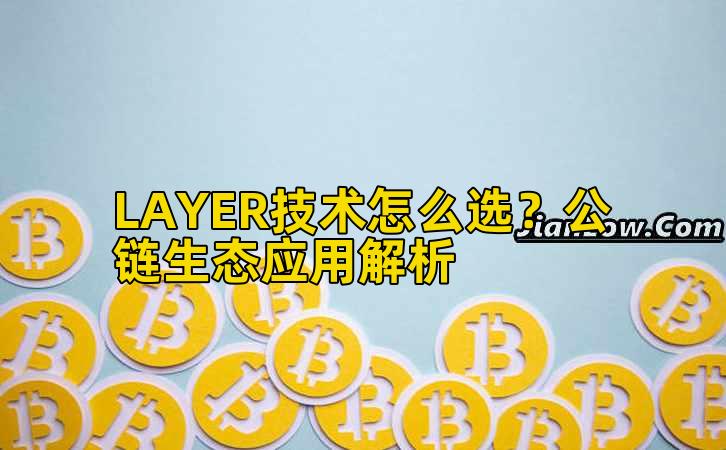 LAYER技术怎么选?公链生态应用解析插图 LAYER技术怎么选?公链生态应用解析插图