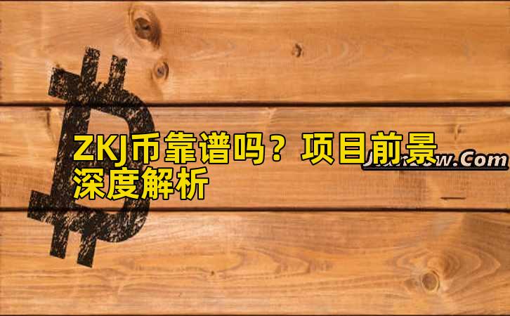 ZKJ币靠谱吗？项目前景深度解析插图