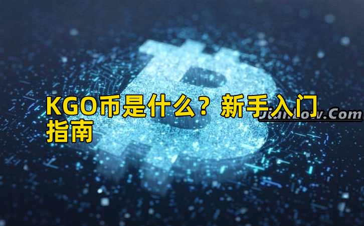 KGO币是什么？新手入门指南插图