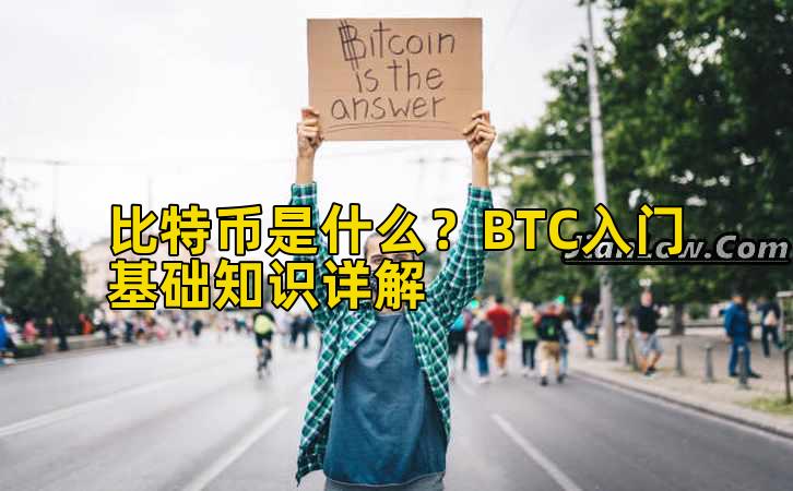 比特币是什么？BTC入门基础知识详解插图