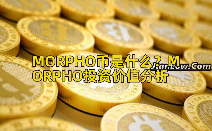 MORPHO币是什么？MORPHO投资价值分析插图