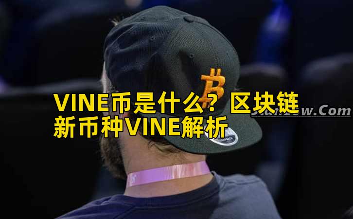 VINE币是什么？区块链新币种VINE解析插图