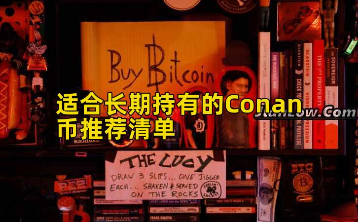 适合长期持有的Conan币推荐清单插图