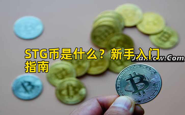 STG币是什么?新手入门指南插图 STG币是什么?新手入门指南插图