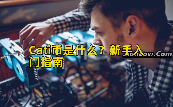 Cati币是什么?新手入门指南插图 Cati币是什么?新手入门指南插图