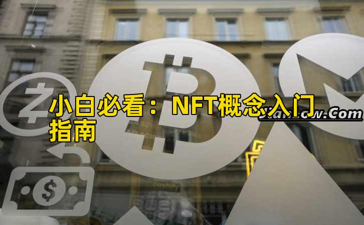 小白必看：NFT概念入门指南插图