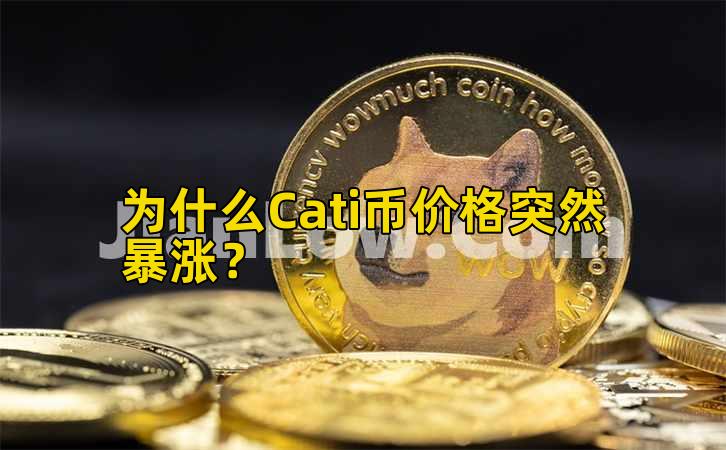为什么Cati币价格突然暴涨?插图 为什么Cati币价格突然暴涨?插图