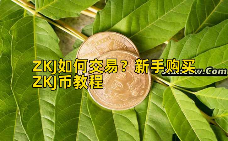 ZKJ如何交易？新手购买ZKJ币教程插图