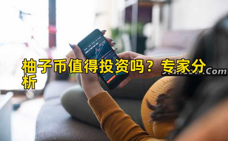 柚子币值得投资吗？专家分析插图