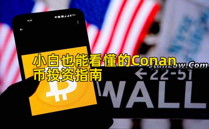 小白也能看懂的Conan币投资指南插图