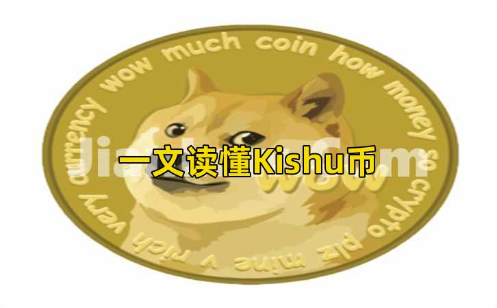 一文读懂Kishu币插图