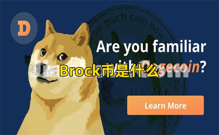 Brock币是什么插图