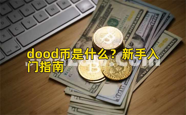 dood币是什么?新手入门指南插图 dood币是什么?新手入门指南插图