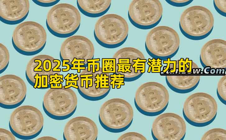 2025年币圈最有潜力的加密货币推荐插图