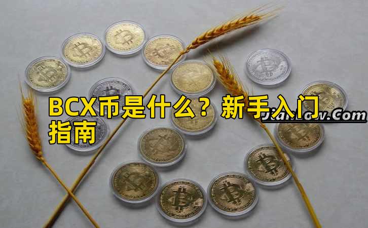 BCX币是什么？新手入门指南插图