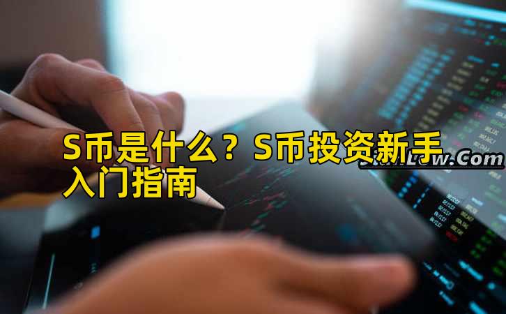 S币是什么?S币投资新手入门指南插图 S币是什么?S币投资新手入门指南插图