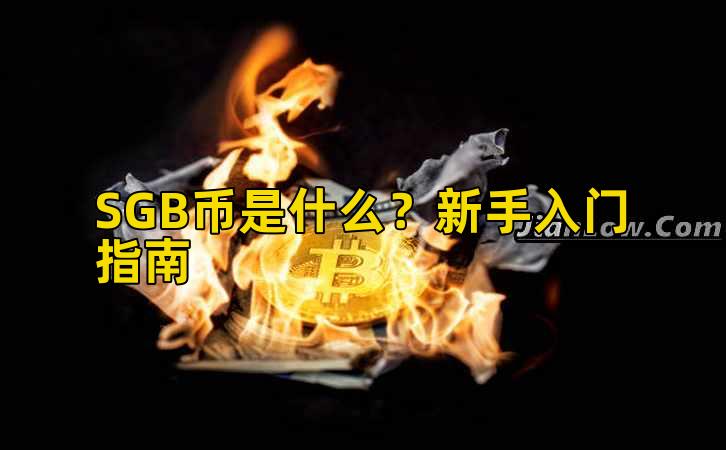 SGB币是什么?新手入门指南插图 SGB币是什么?新手入门指南插图