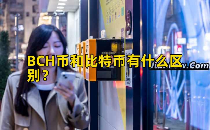 BCH币和比特币有什么区别？插图
