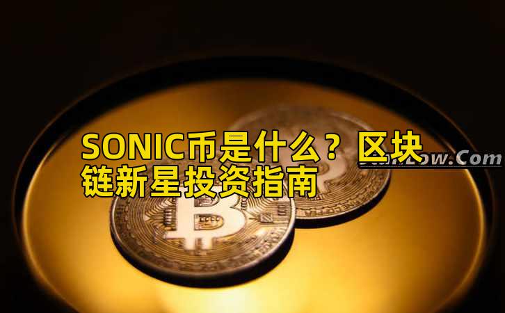 SONIC币是什么?区块链新星投资指南插图 SONIC币是什么?区块链新星投资指南插图