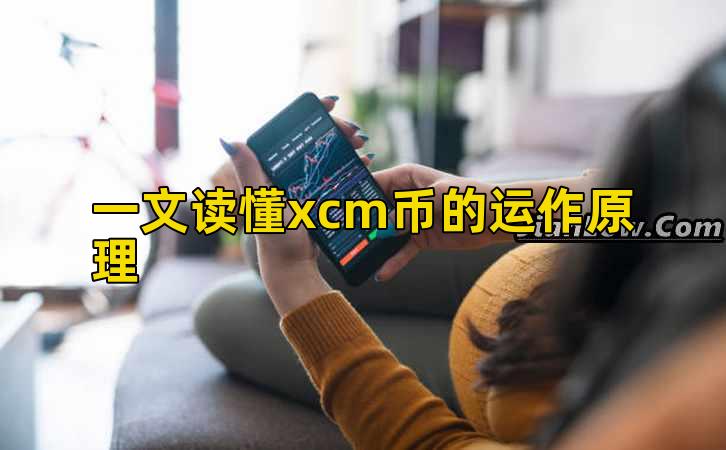 一文读懂xcm币的运作原理插图 一文读懂xcm币的运作原理插图
