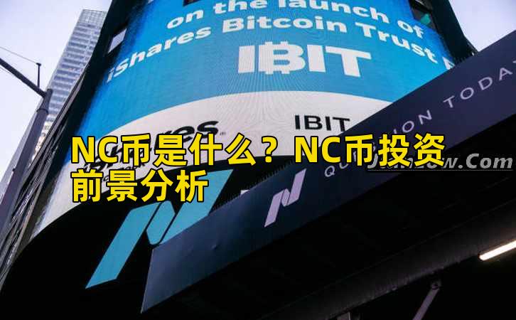 NC币是什么？NC币投资前景分析插图
