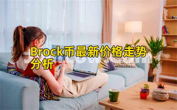 Brock币最新价格走势分析插图 Brock币最新价格走势分析插图
