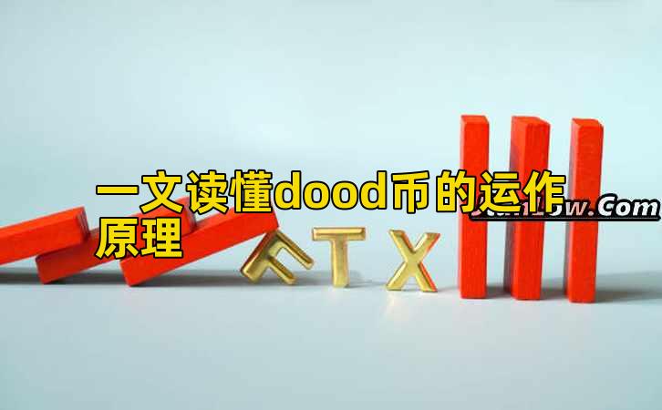 一文读懂dood币的运作原理插图