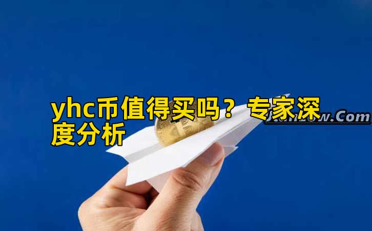 yhc币值得买吗？专家深度分析插图