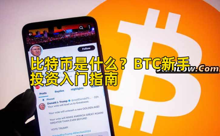 比特币是什么?BTC新手投资入门指南插图 比特币是什么?BTC新手投资入门指南插图
