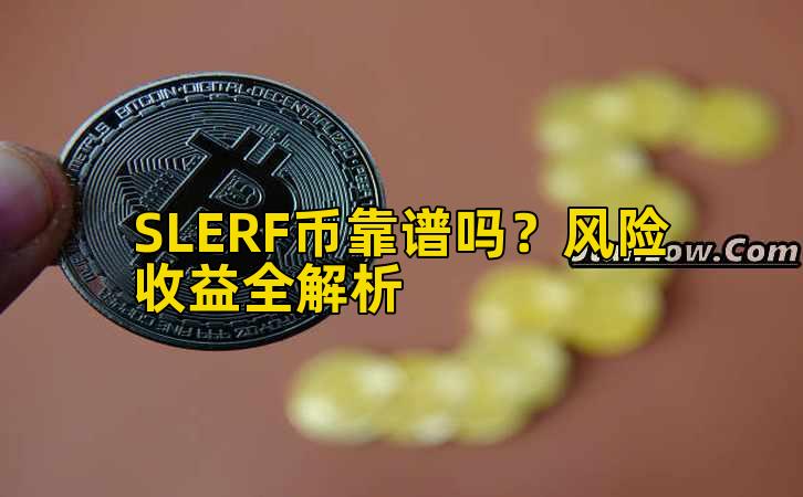 SLERF币靠谱吗？风险收益全解析插图