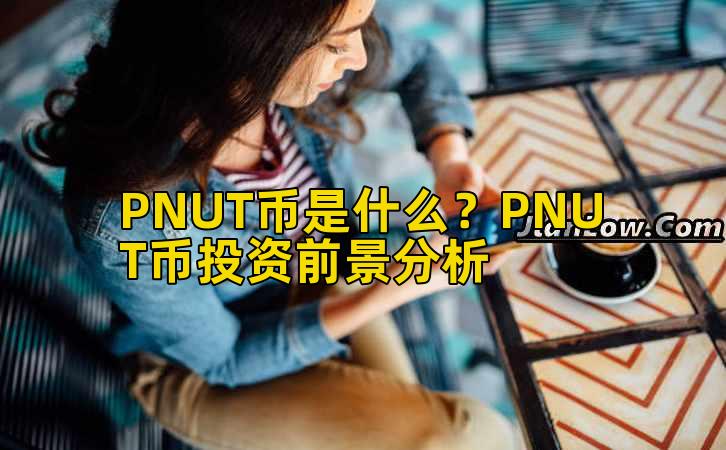 PNUT币是什么?PNUT币投资前景分析插图 PNUT币是什么?PNUT币投资前景分析插图